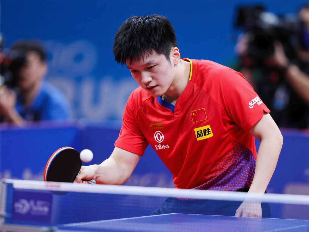 总结来看 总结来看